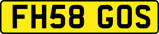 FH58GOS