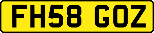 FH58GOZ