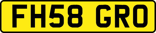 FH58GRO