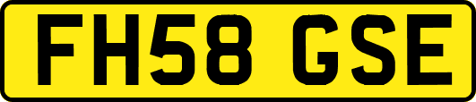 FH58GSE