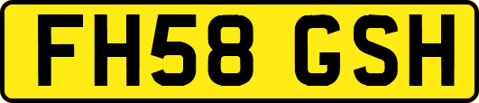 FH58GSH