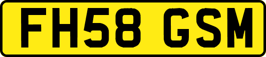 FH58GSM