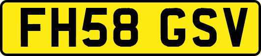 FH58GSV