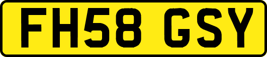 FH58GSY