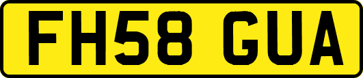 FH58GUA