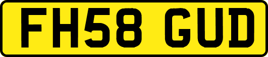 FH58GUD