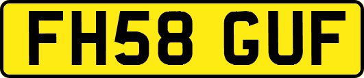 FH58GUF