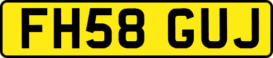 FH58GUJ