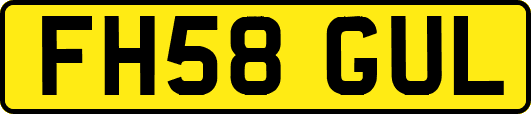 FH58GUL