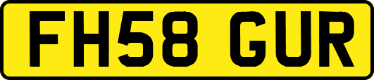FH58GUR
