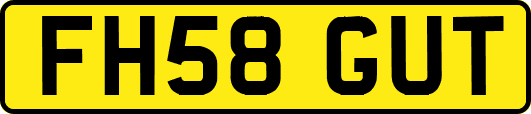 FH58GUT