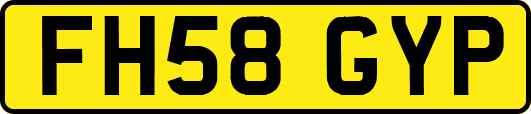 FH58GYP