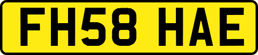 FH58HAE