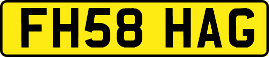 FH58HAG