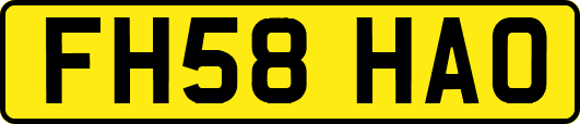 FH58HAO