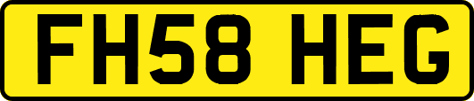 FH58HEG