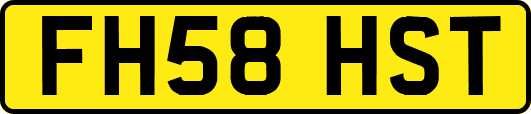 FH58HST