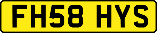 FH58HYS