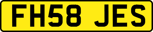 FH58JES
