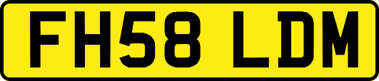 FH58LDM