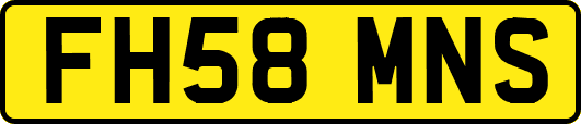FH58MNS