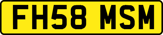 FH58MSM