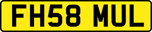 FH58MUL