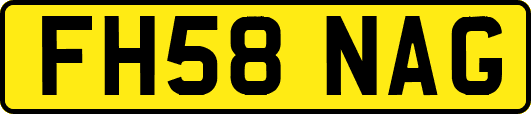 FH58NAG