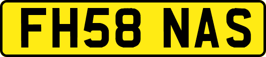 FH58NAS