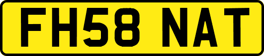 FH58NAT