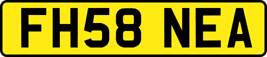FH58NEA