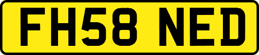 FH58NED
