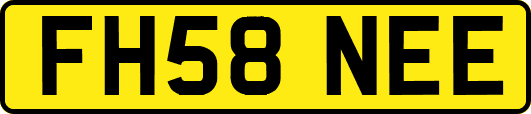 FH58NEE