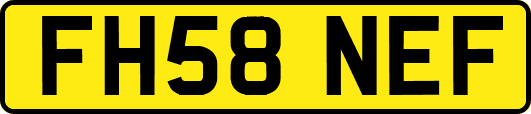 FH58NEF