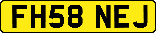 FH58NEJ