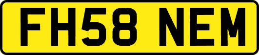 FH58NEM