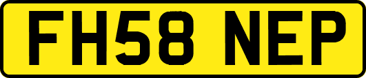 FH58NEP