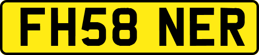 FH58NER