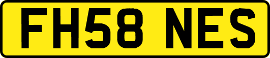 FH58NES
