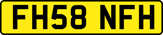 FH58NFH