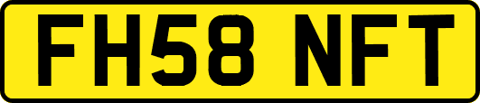 FH58NFT