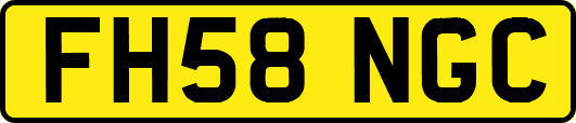 FH58NGC