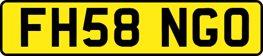 FH58NGO