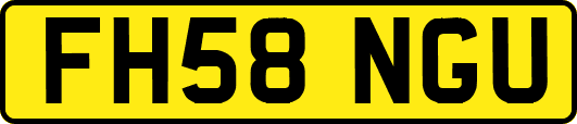 FH58NGU