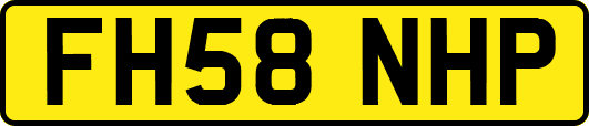 FH58NHP