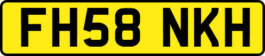 FH58NKH