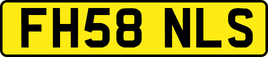 FH58NLS