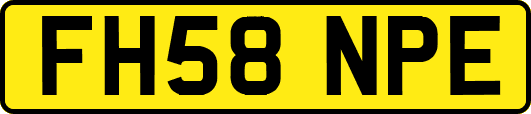 FH58NPE