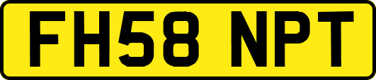 FH58NPT