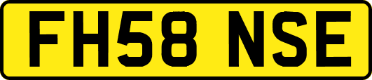 FH58NSE